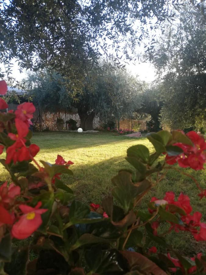 Bed and Breakfast Lory Elice Екстер'єр фото